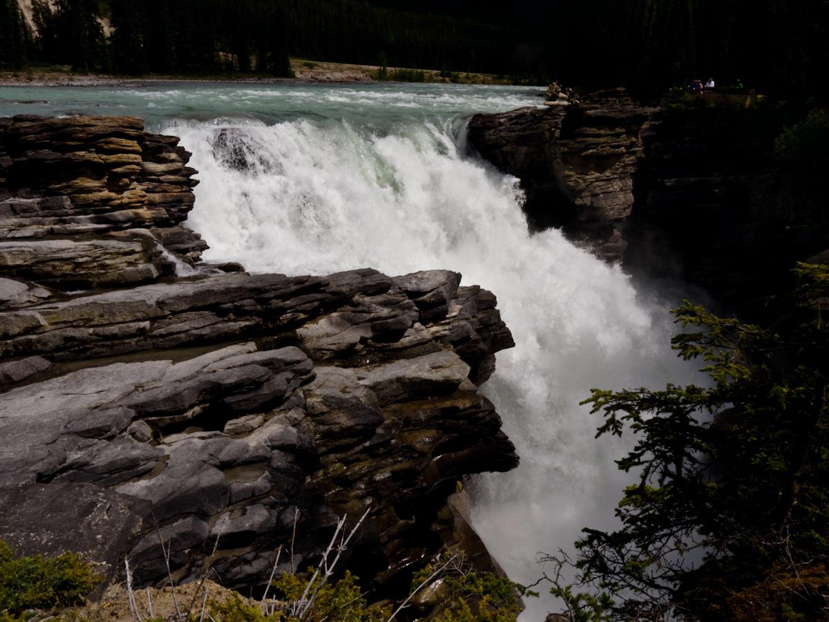 P1010627.jpg - This is the main falls as the Athabasca River, fed by glacial melting, flows northward.