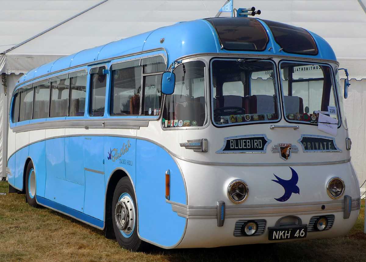 L1010713.JPG - This old bus is a Bluebird built under license by Leyland for domestic use.